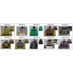 LEGO 973 Minifig Torso with City Town Holiday & Event Pattern (n°1, complet ou incomplet)