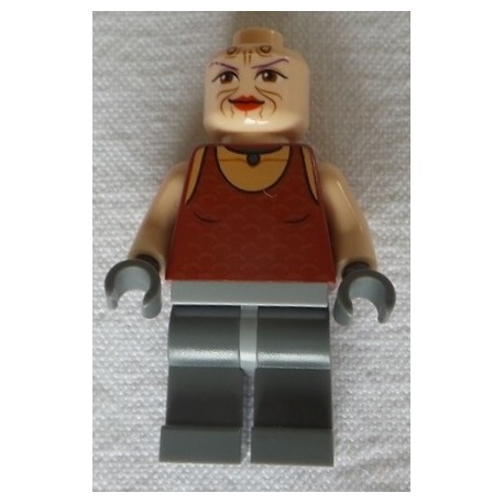 LEGO sw0305 Sugi 7930 2011